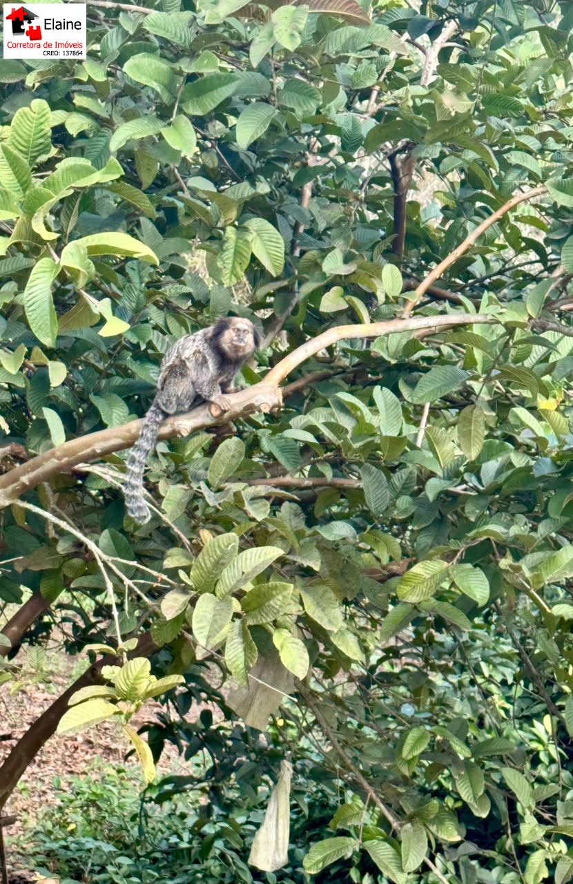 Chácara em Sítio Nagai, Mairinque - Foto 20