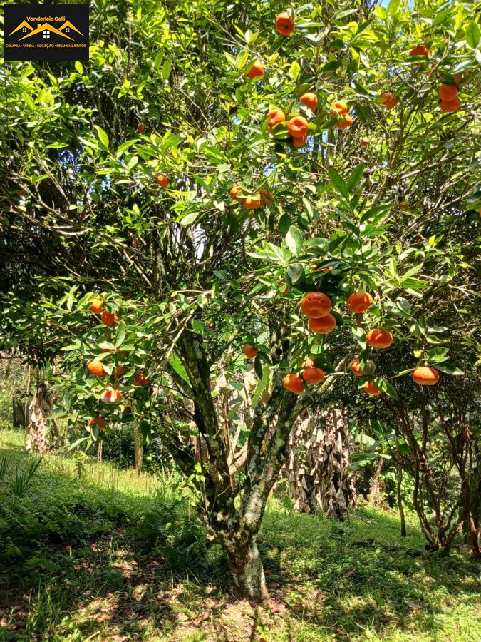 Chácara em , Ibiúna - Foto 39
