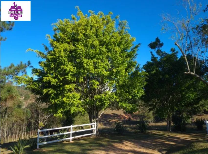 Sítio em Vila Serra, Ibiúna - Foto 6
