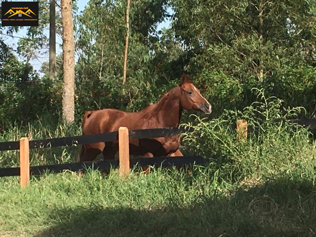 Haras em Ibaté, São Roque - Haras pedacinho do céu - Foto 23