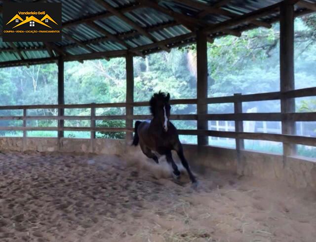 Haras em Ibaté, São Roque - Haras pedacinho do céu - Foto 12