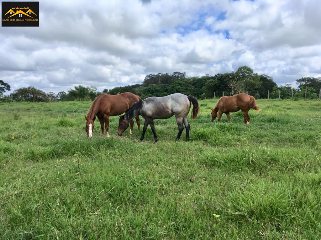 Haras em Ibaté, São Roque - Haras pedacinho do céu - Foto 7