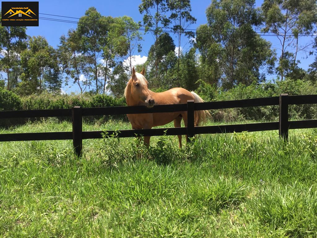 Haras em Ibaté, São Roque - Haras pedacinho do céu - Foto 24