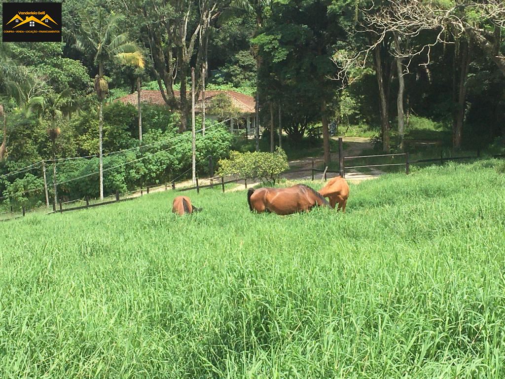 Haras em Ibaté, São Roque - Haras pedacinho do céu - Foto 21