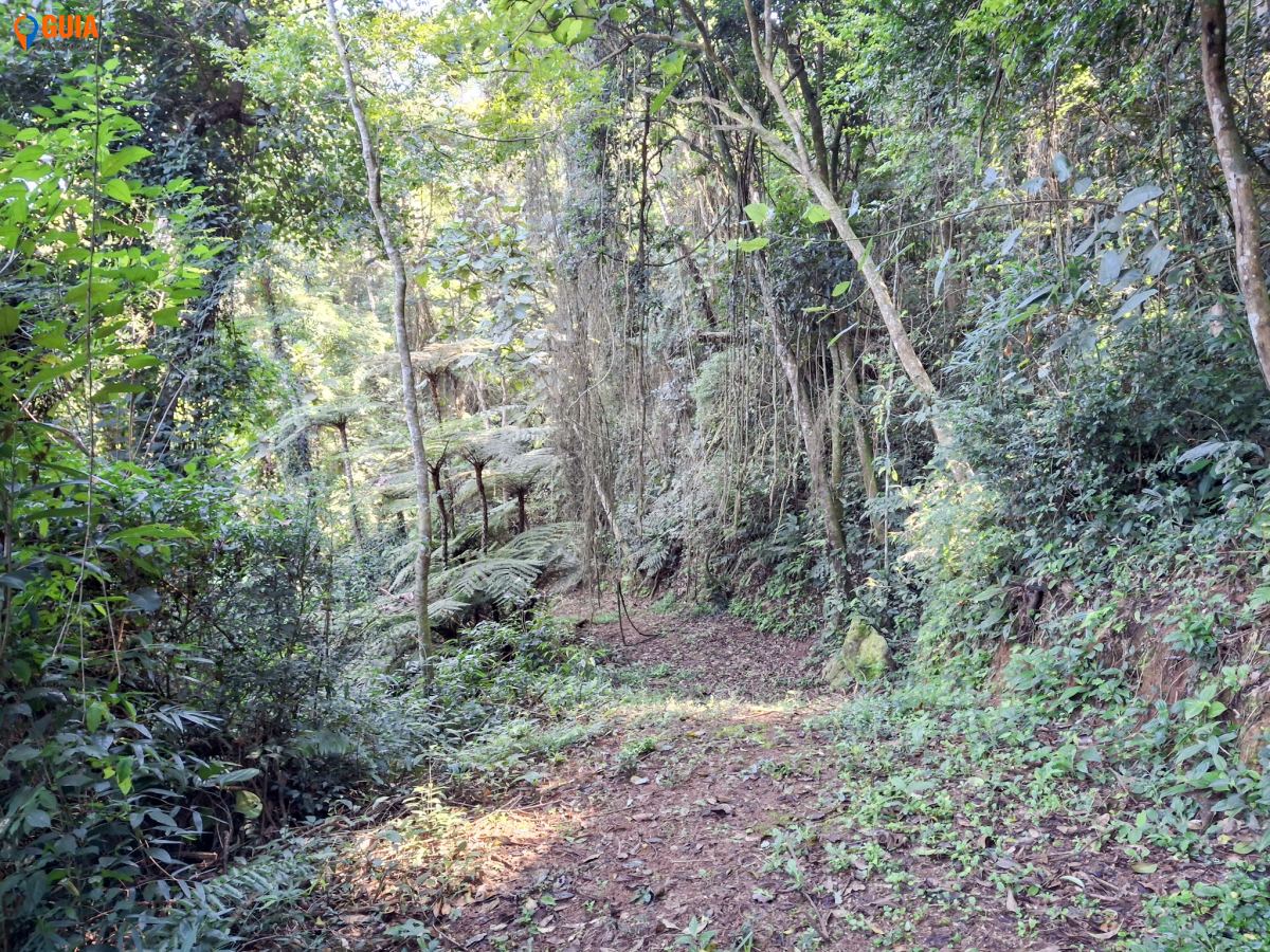 Sítio em Vila Darcy Penteado (Mailasqui), São Roque - Foto 44