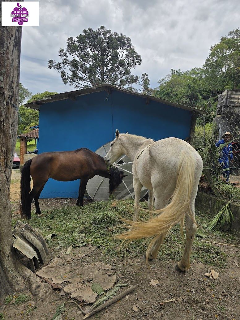 Sítio em Jardim Meny, São Roque - Foto 5