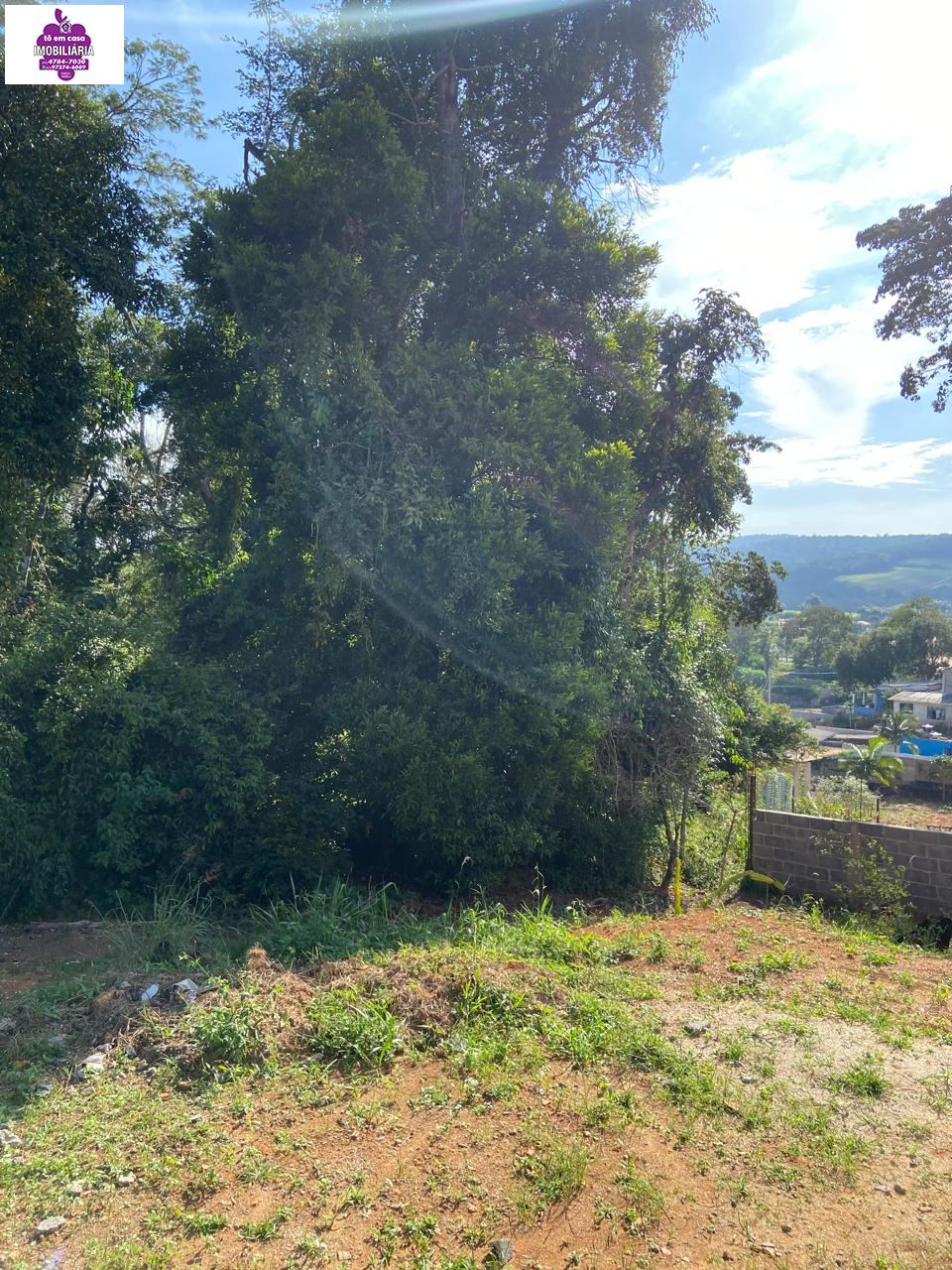 Casa em Cascavel (Canguera), São Roque - Casa à venda no Bairro Cascavel - Foto 12