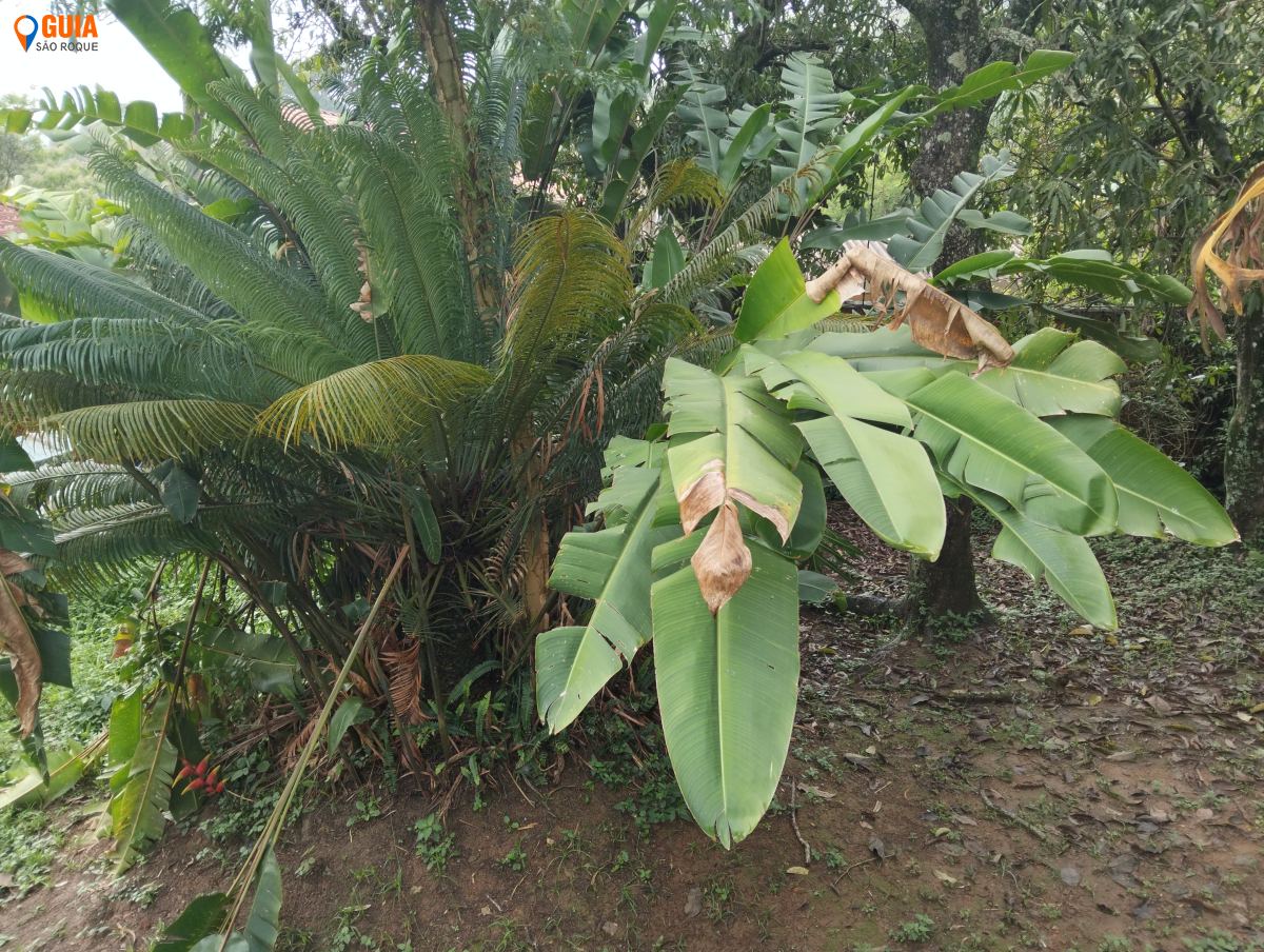 Chácara em Marmeleiro, São Roque - Foto 4