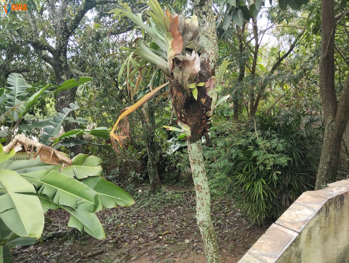 Chácara em Marmeleiro, São Roque - Foto 3