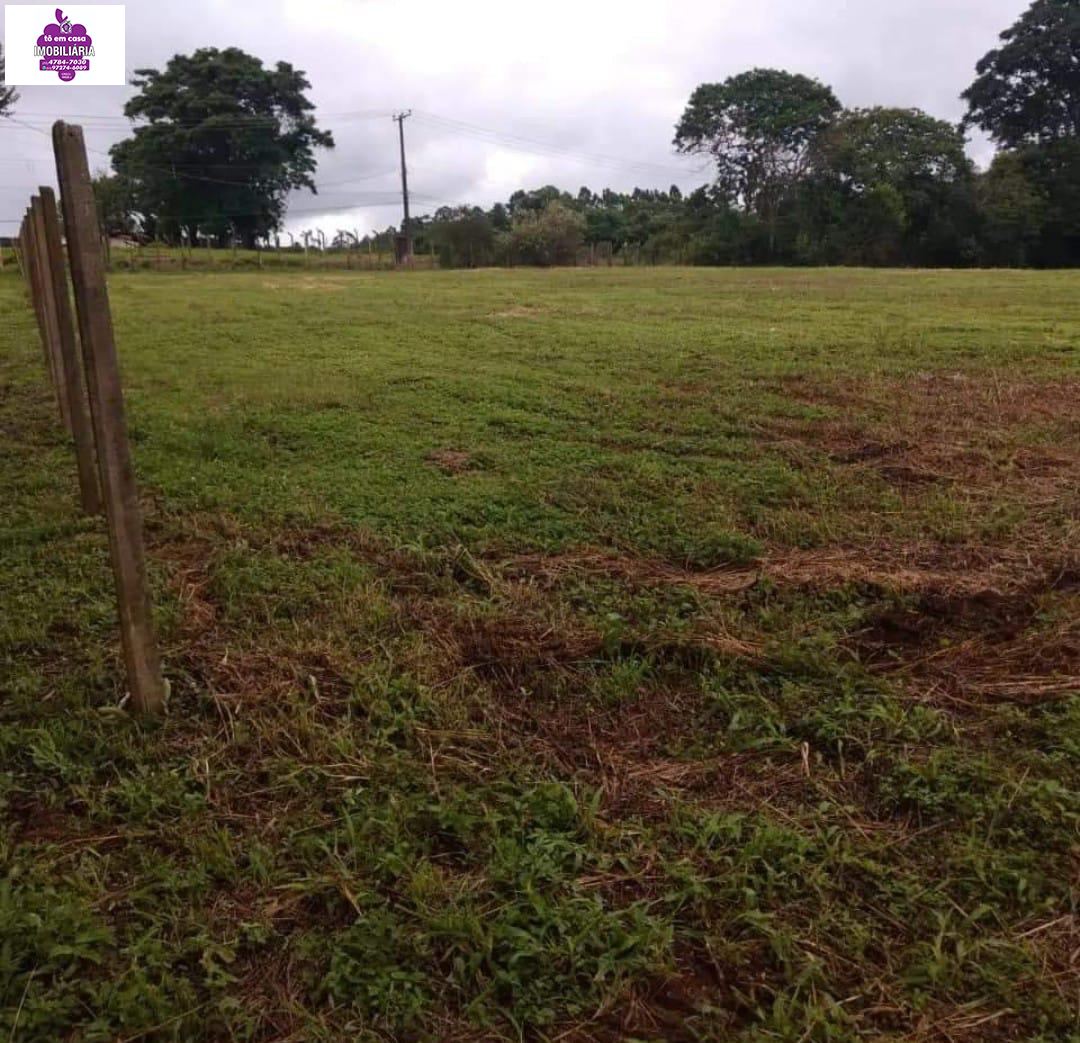 Terreno em Sorocamirim (Canguera), São Roque - Foto 6