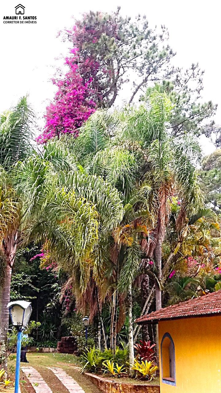 Sítio em , São Roque - Foto 3
