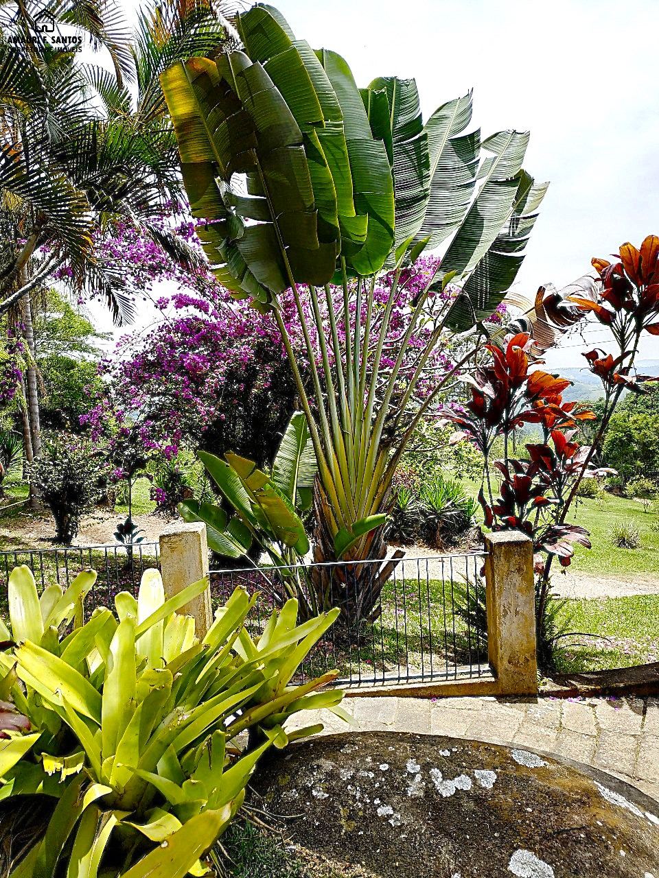 Sítio em , São Roque - Foto 4
