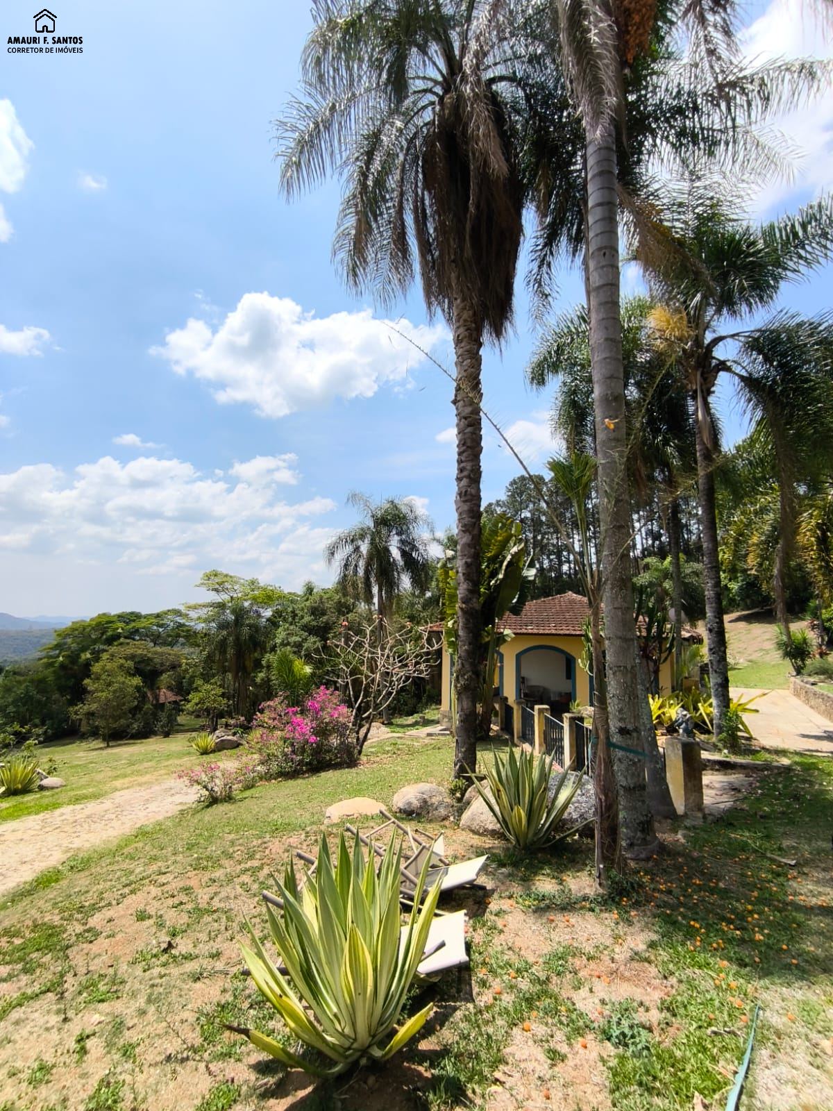 Sítio em , São Roque - Foto 7