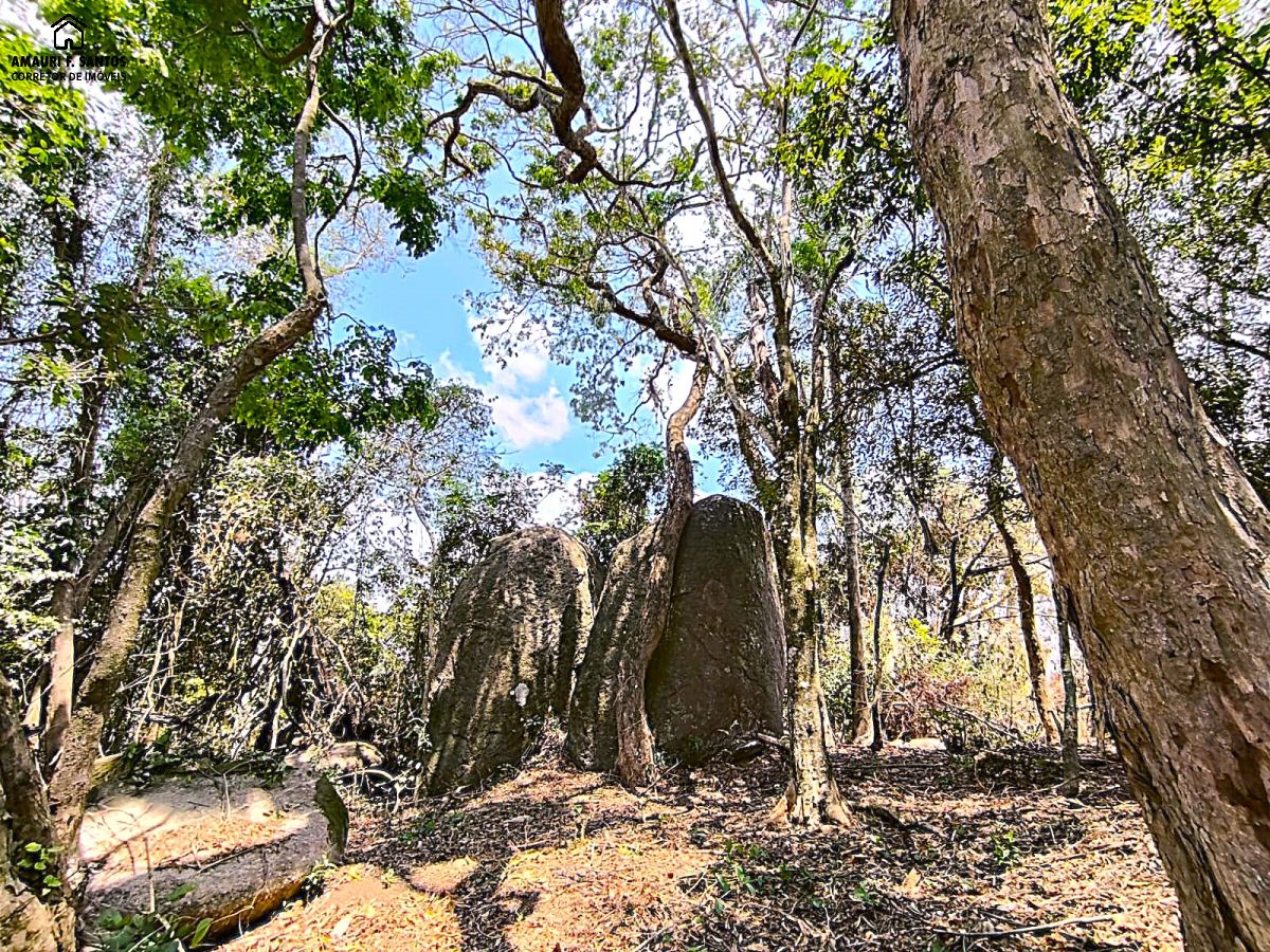 Sítio em , São Roque - Foto 14