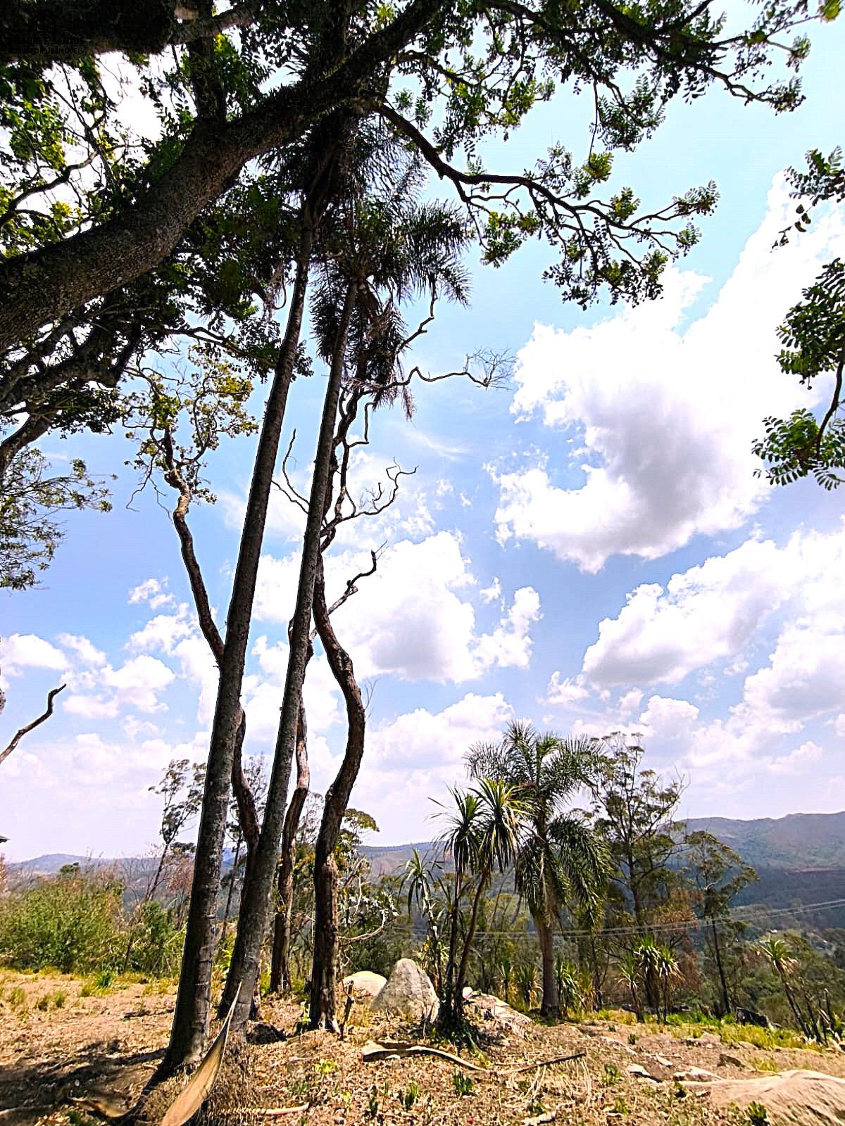 Sítio em , São Roque - Foto 15