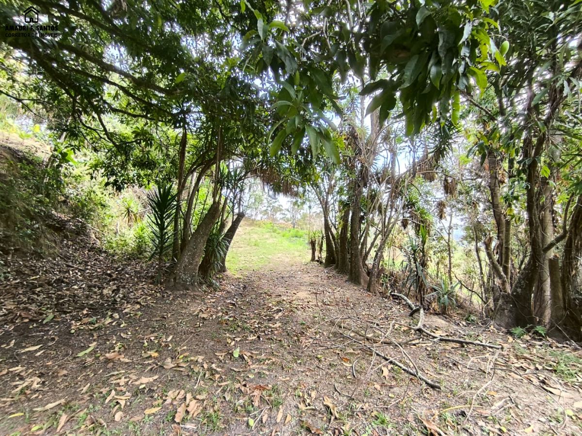 Sítio em , São Roque - Foto 39