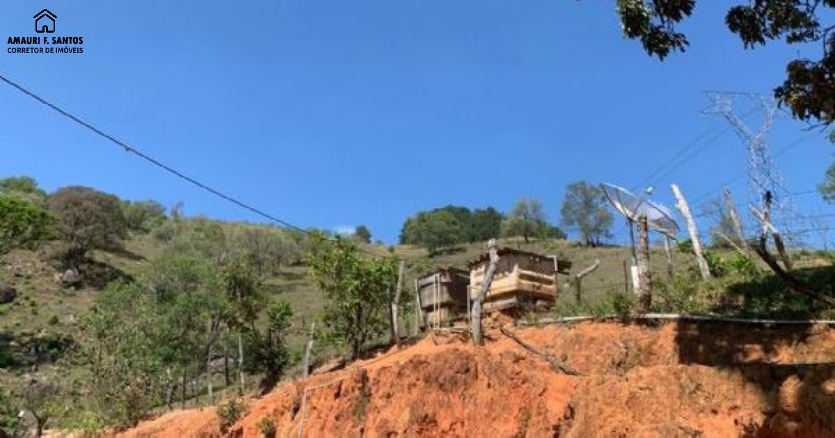 Chácara em , São Roque - sitio com pasto p/ criar bois /carneiros - Foto 2