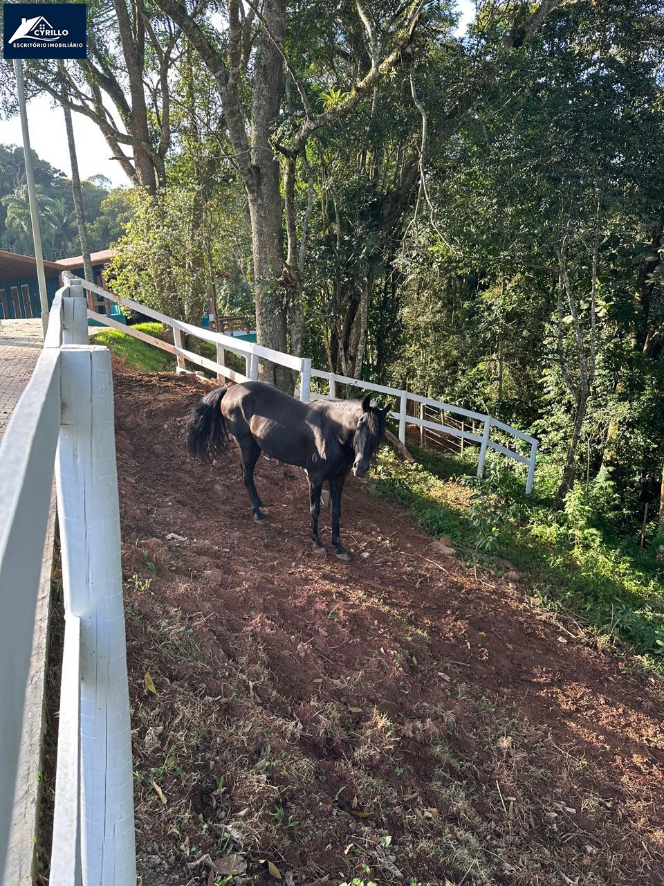 Haras em Alto da Serra, São Roque - Foto 24