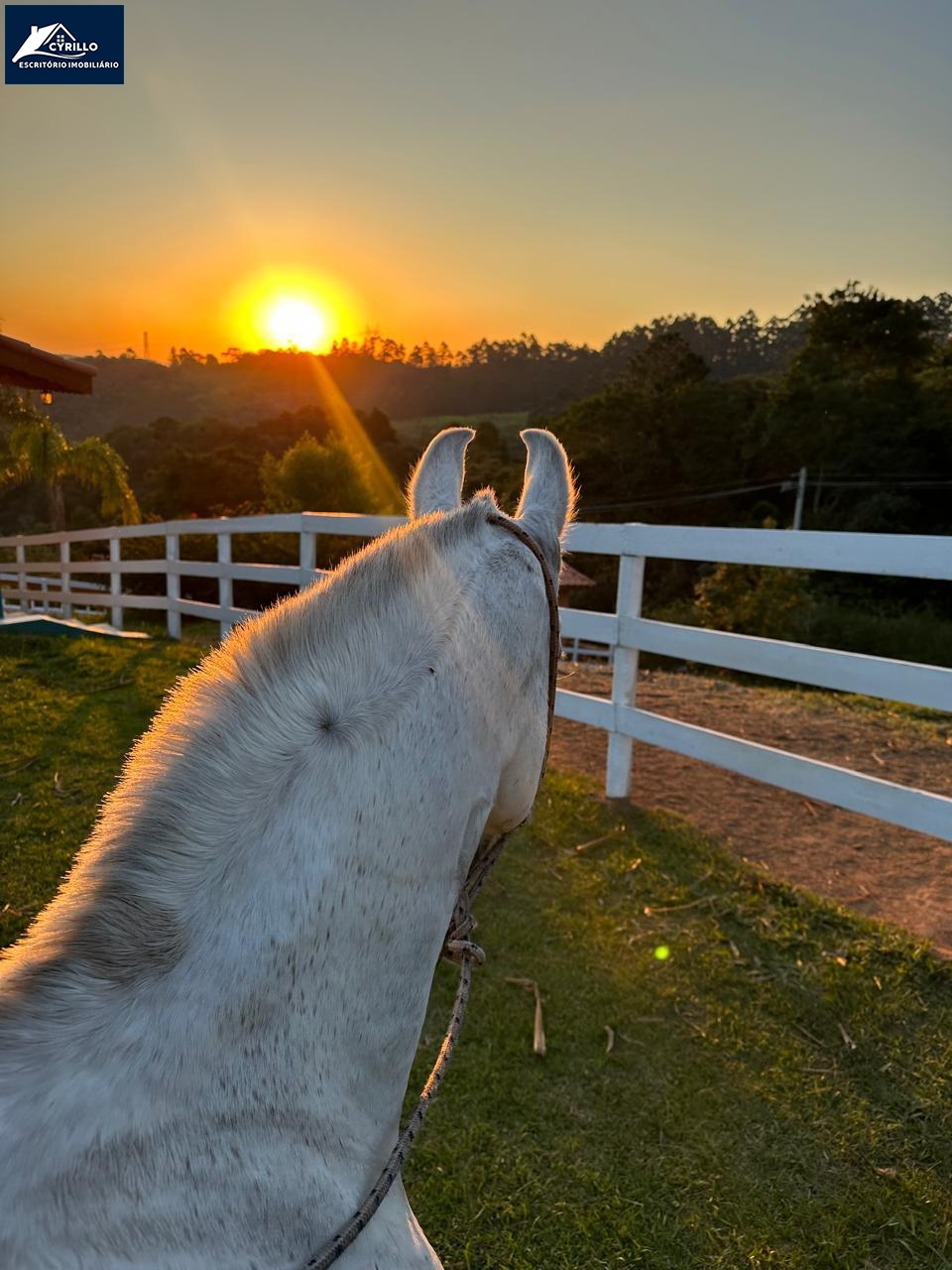 Haras em Alto da Serra, São Roque - Foto 27