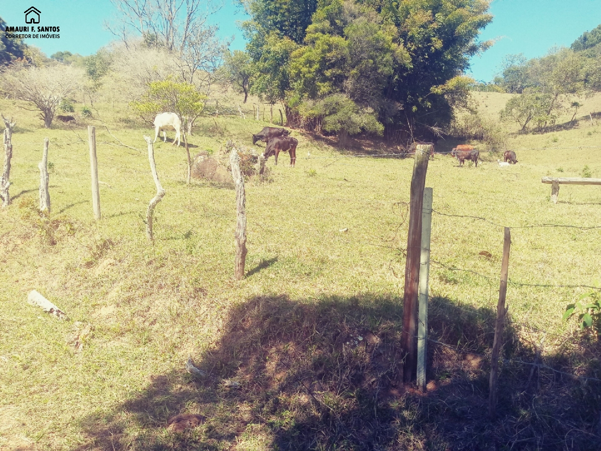 Chácara em , São Roque - sitio com pasto p/ criar bois /carneiros - Foto 3