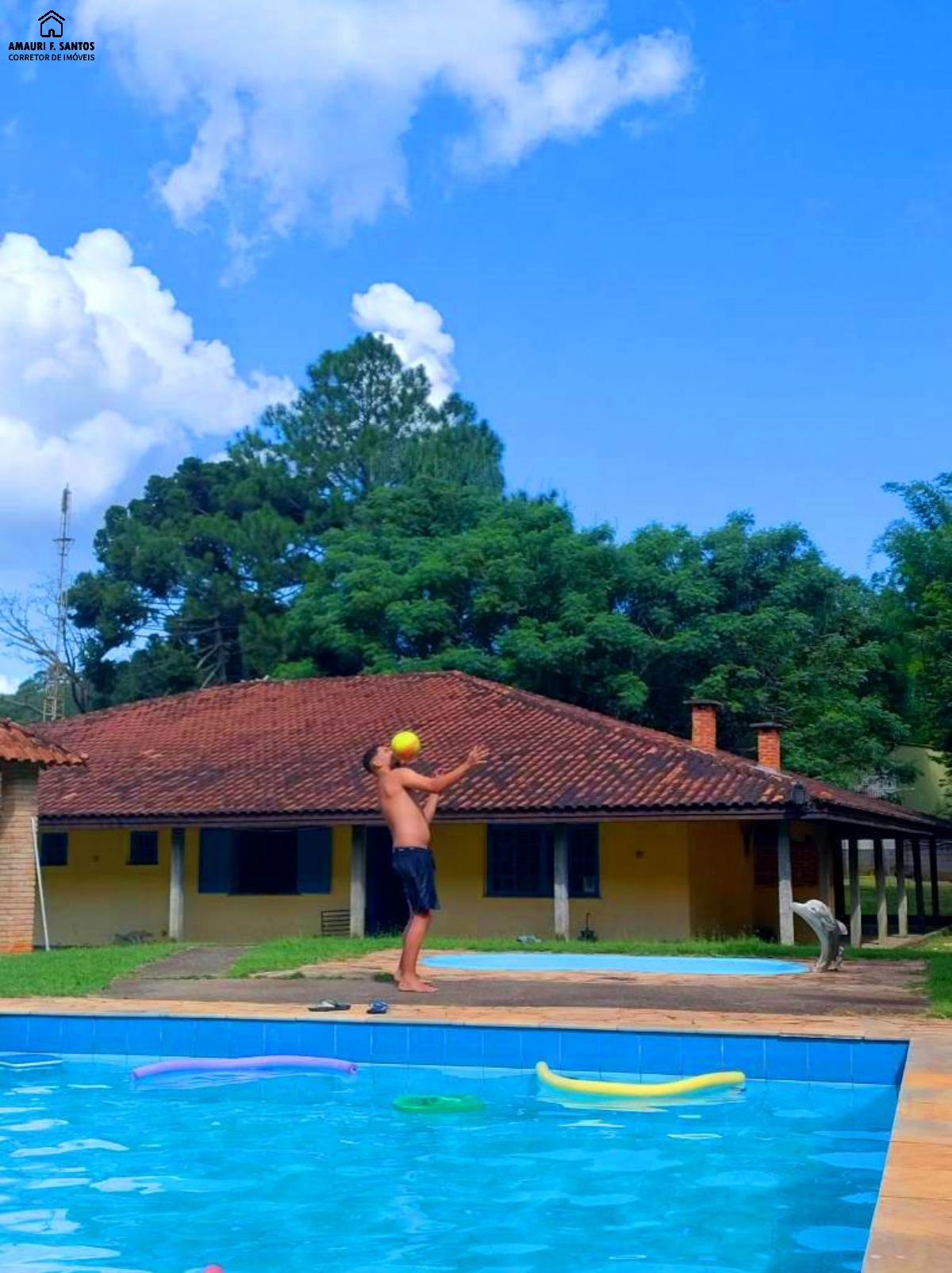 Sítio em , São Roque - Foto 4