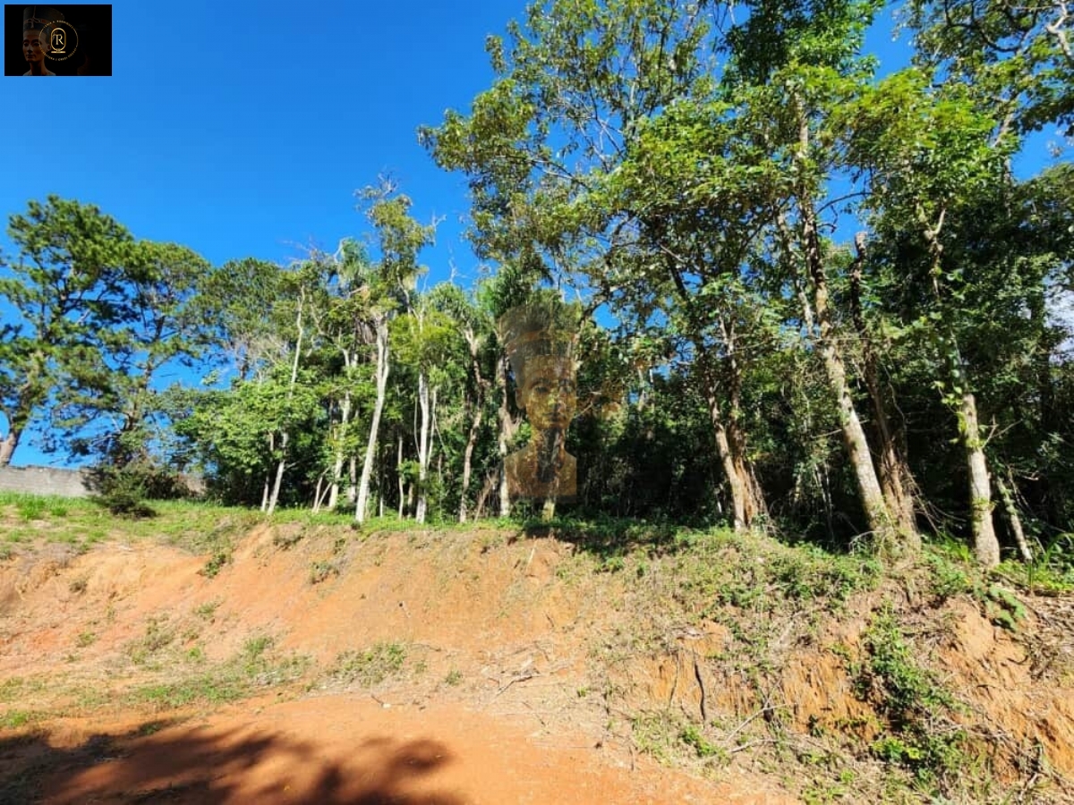 Terreno em Mailasqui, São Roque - Foto 5