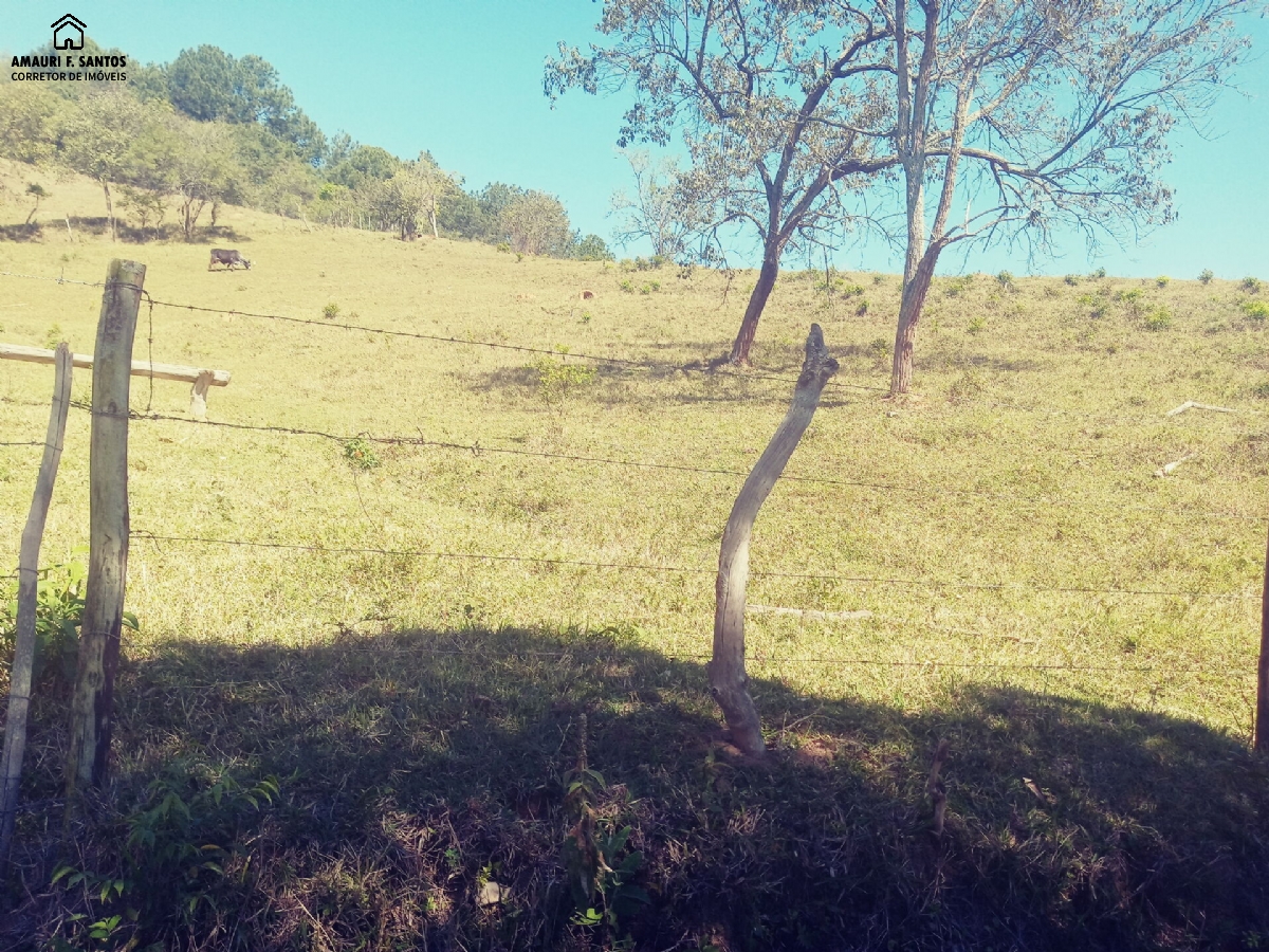 Chácara em , São Roque - sitio com pasto p/ criar bois /carneiros - Foto 1