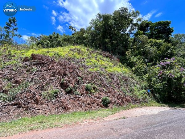 Foto do Imóvel 5