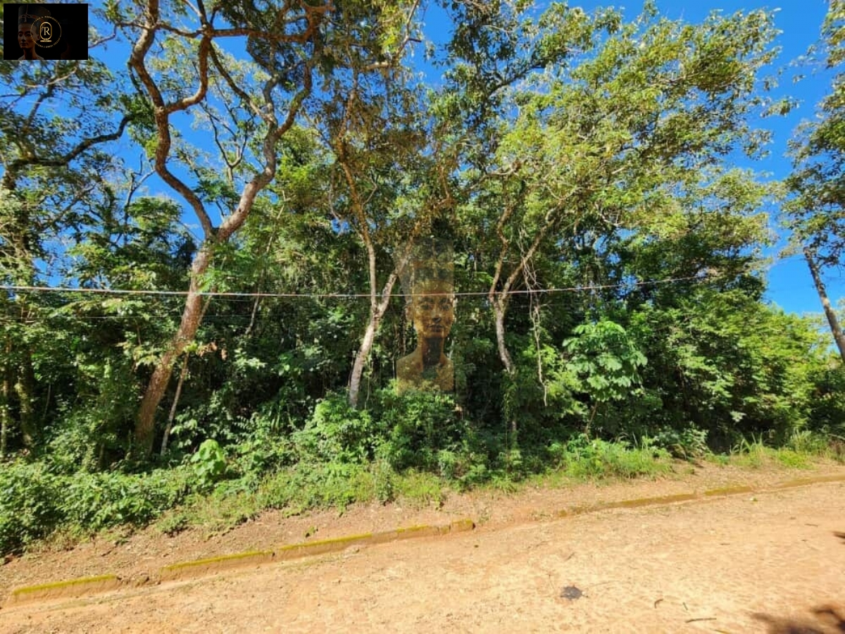 Terreno em Mailasqui, São Roque - Foto 7