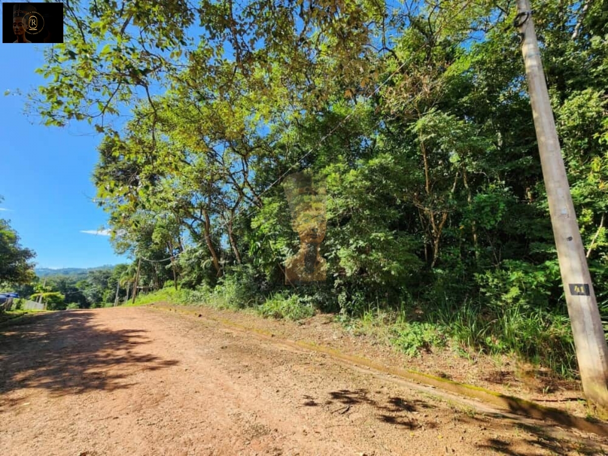 Terreno em Mailasqui, São Roque - Foto 8