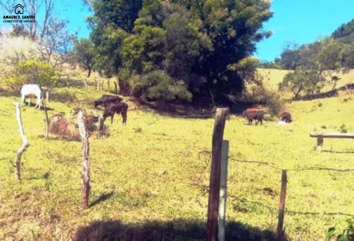 Sítio em , São Roque - Foto 7