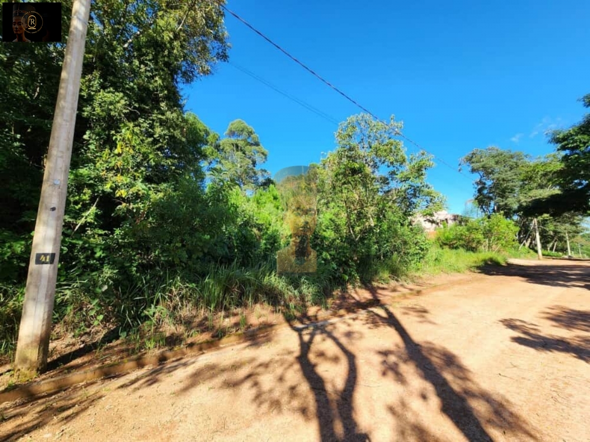 Terreno em Mailasqui, São Roque - Foto 9