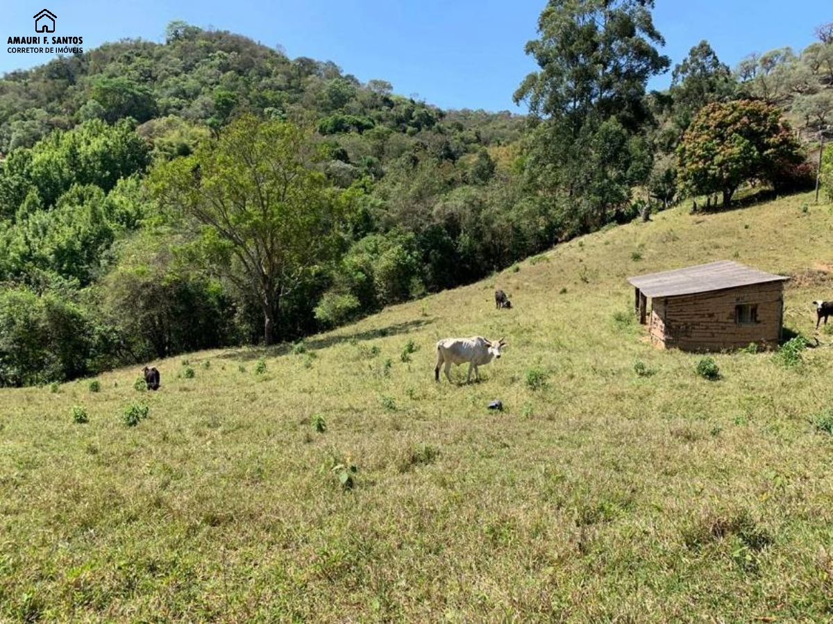Sítio em , São Roque - Foto 8