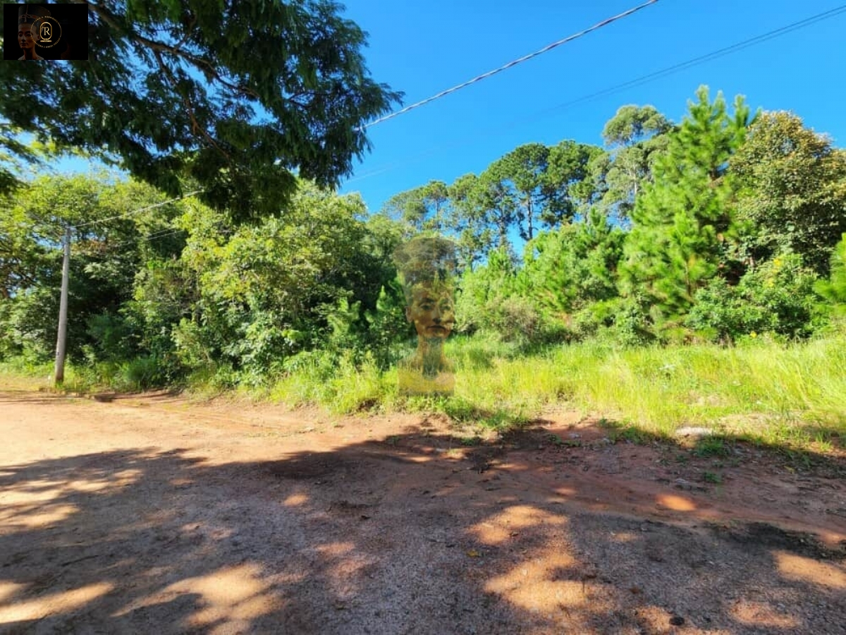 Terreno em Mailasqui, São Roque - Foto 10