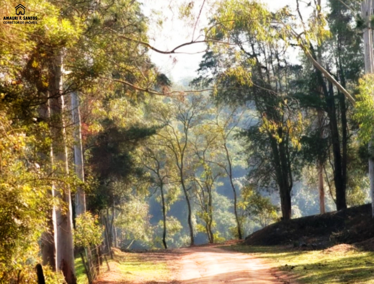 Sítio em , São Roque - Foto 9