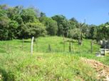 Lotes de 255 m no Guau - VENDE-SE