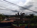 Foto do Imvel 22