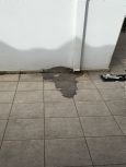 Foto do Imvel 52