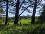Foto do Imvel 6
