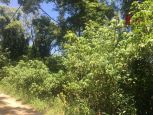 Terreno  venda, 2970 m por R$ 250.000,00 - Planalto Verde - So Roque/SP