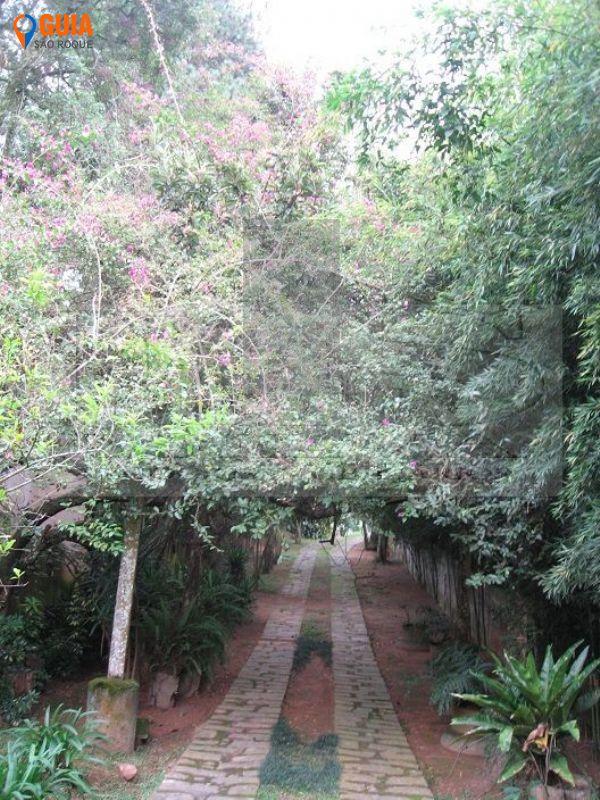 Sítio em Mailasqui, São Roque - Vende-se Sítio em Mailasqui, São Roque. - Foto 3