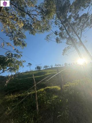 Sítio em Alves, Ibiúna - Foto 36