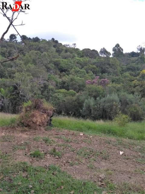 Chácara no Alto da Serra