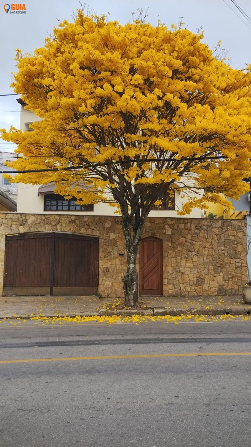Casa em Jardim Flórida, São Roque - Casa com 3 dormitórios - ótimo local - Foto 1
