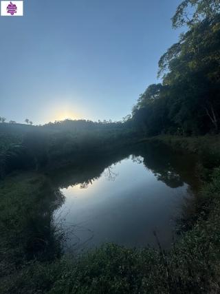 Sítio em Alves, Ibiúna - Foto 32