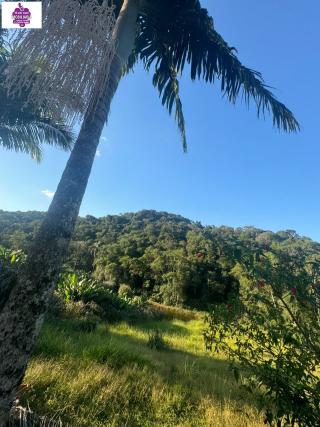 Sítio em Alves, Ibiúna - Foto 28