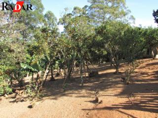 Chácara em Mailasqui, São Roque - Foto 46