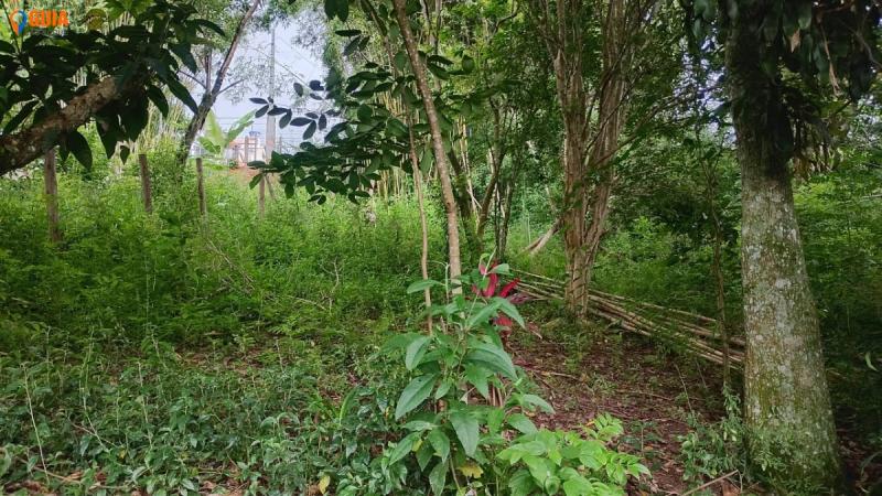 Terreno em Mailasqui, São Roque - Vende-se Terreno em Mailasqui - Foto 1