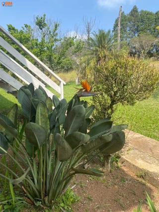 Sítio em , São Roque - Foto 21