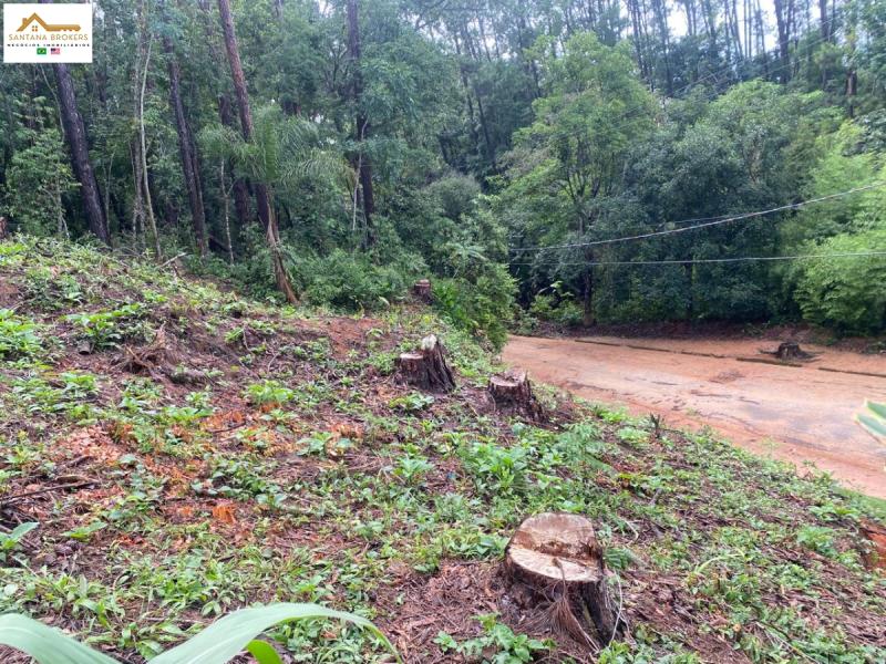 Terreno em Mailasqui, São Roque - Terreno Excelente Local - Foto 2